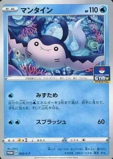 Photo of Mantine Gym Promo 23S P